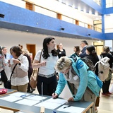 Galeriebild 7 von 106