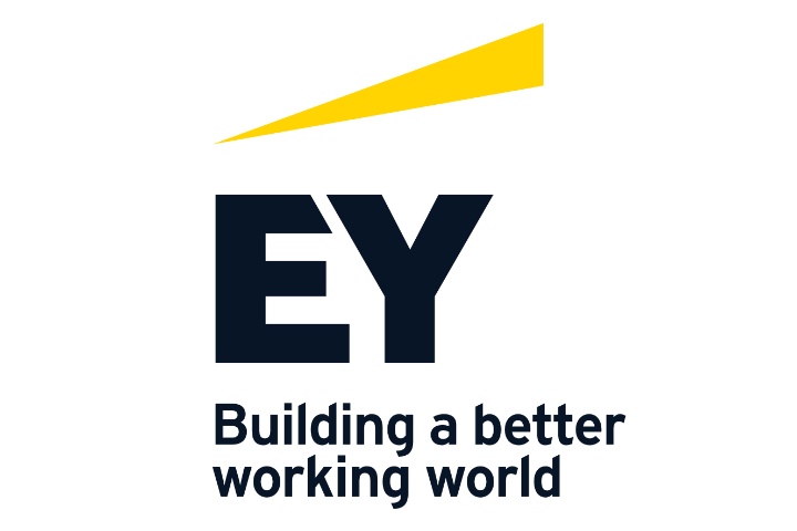 Ernst & Young GmbH Wirtschaftsprüfungsgesellschaft