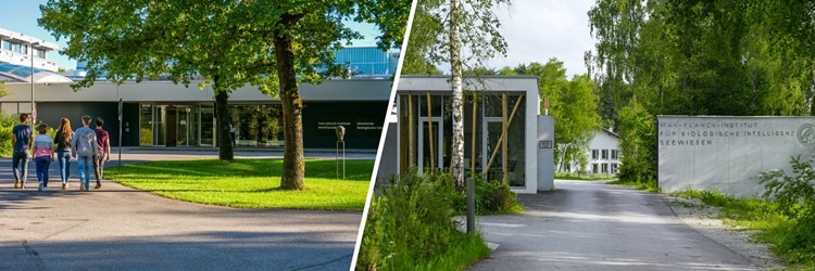 Max-Planck-Institut für biologische Intelligenz